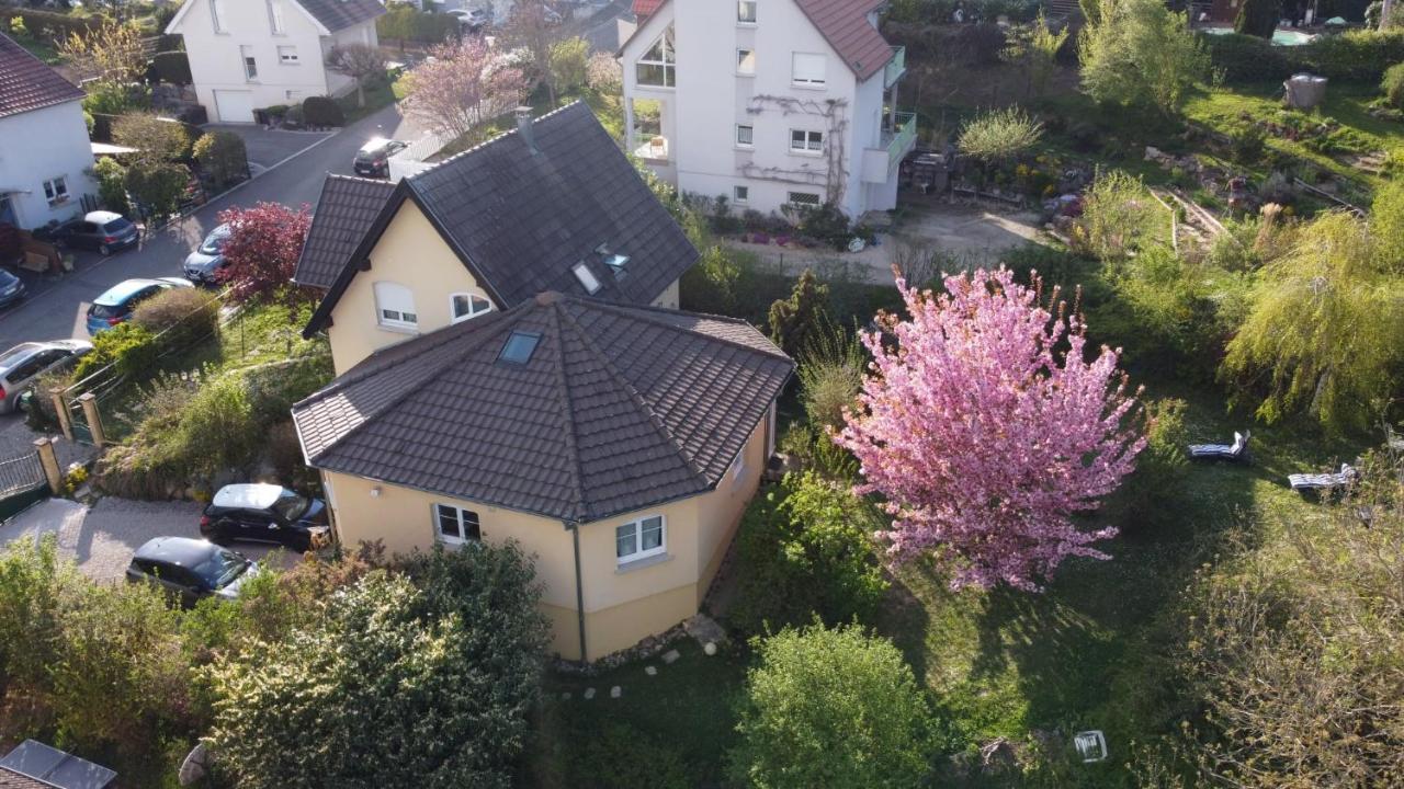 Chez Olivier Et Josette Sur Mulhouse Sud Apartment Illfurth Exterior photo