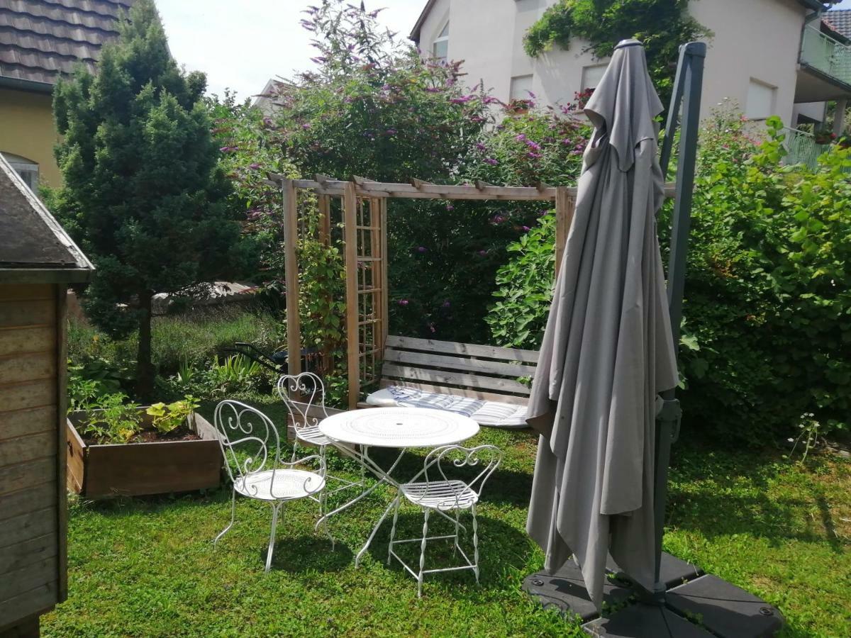 Chez Olivier Et Josette Sur Mulhouse Sud Apartment Illfurth Exterior photo